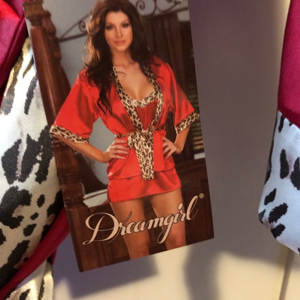 Dreamgirl Robe 👘 in Red or Light Blue